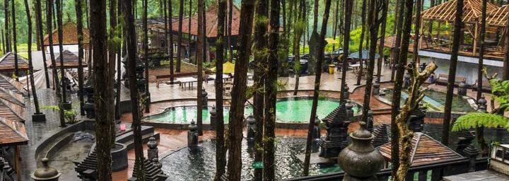 Guci Forest: Ini Dia Salah Satu Tempat Wisata yang Menarik di Tegal