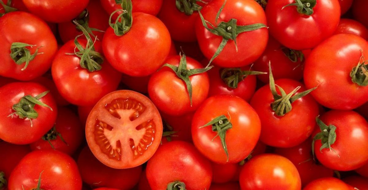 8 Manfaat Tomat Untuk Menjaga Kesehatan Kulit Wajah Yang Harus Kamu Coba