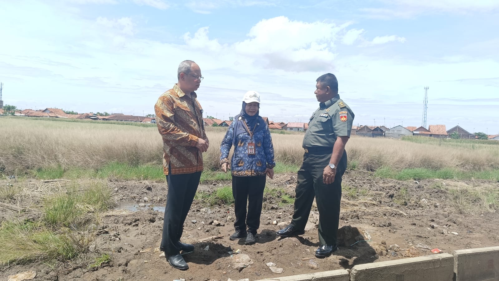 Hidupkan Eks Lahan Rob Pekalongan, BI Tegal Ujicoba Padi Biosalin di Degayu 