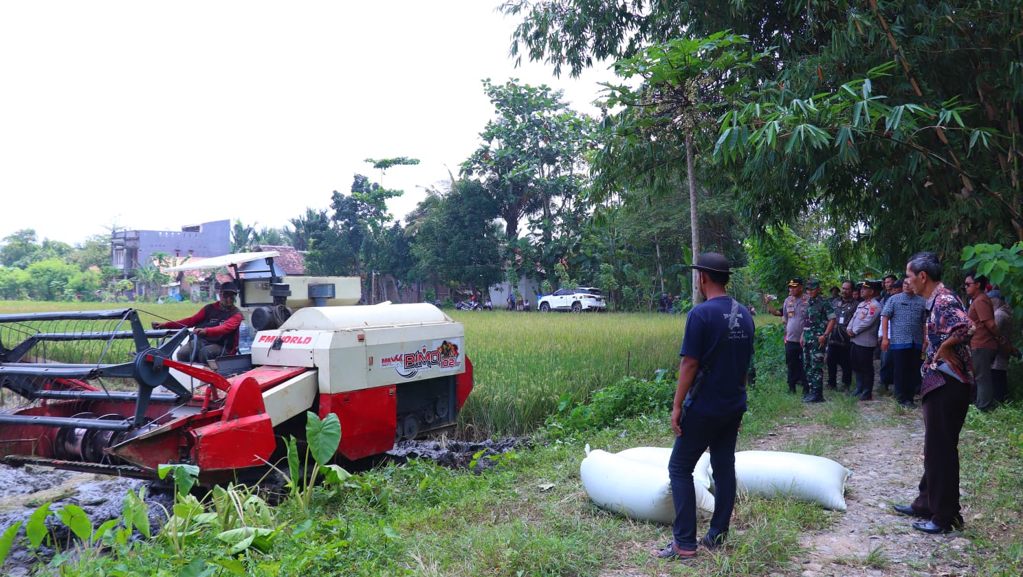 Bulog Targetkan Serap Gabah Petani di Pekalongan 14.000 Ton