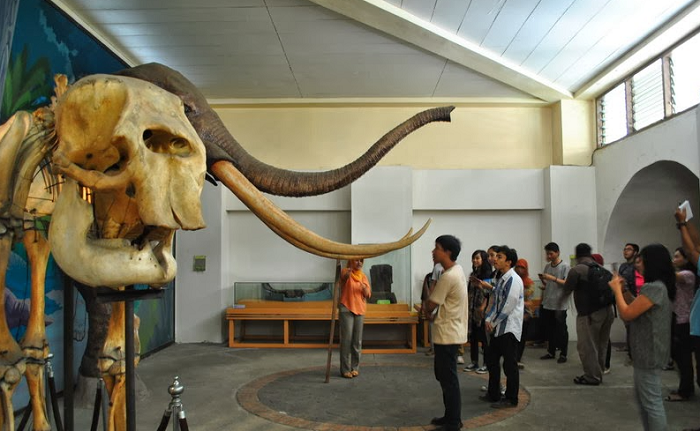 Museum Ranggawarsita: Memperjalankan Warisan Sejarah dan Budaya di Semarang