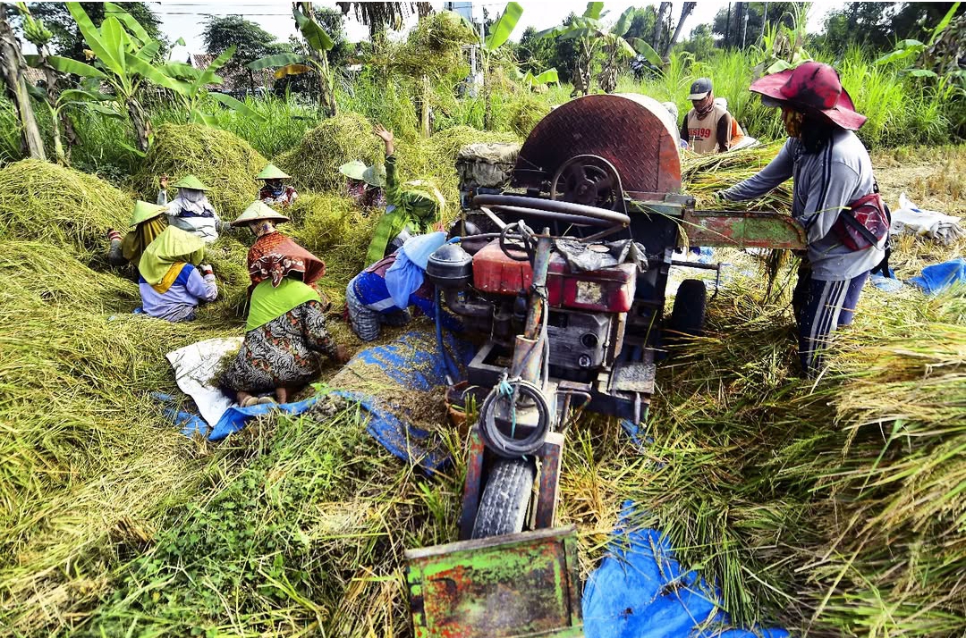 Jadi Korban Penipuan Berkedok MBG, Sejumlah Petani di Grobogan Alami Kerugian Rp3,2 Miliar