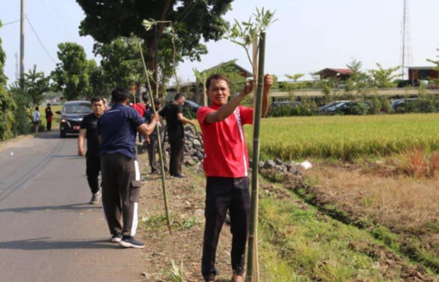 OPD di Kabupaten Pemalang Tanam Ratusan Pohon Tabebuya  ‎