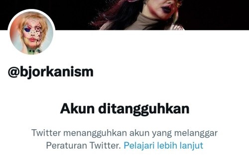 Akun Twitter Bjorka Ditangguhkan Usai Bocorkan Data Pribadi Denny Siregar