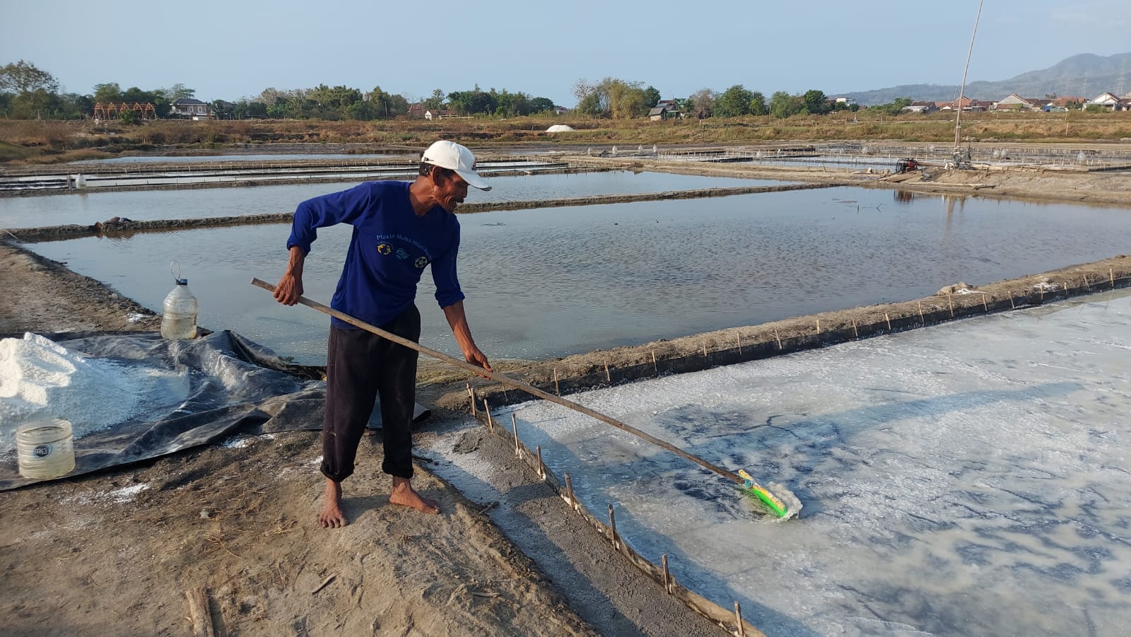 Petani Garam Rembang Menjerit, Panen Melimpah tapi Harga Anjlok
