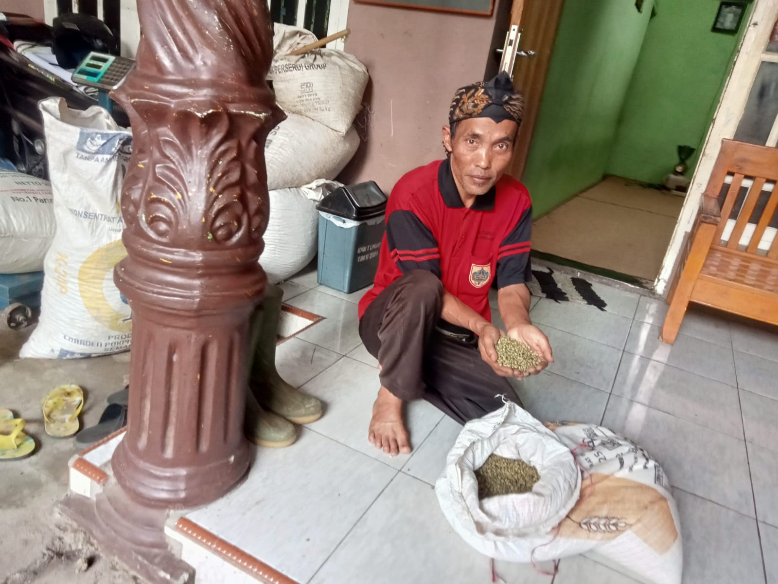 Harga Kopi di Tingkat Petani di Pemalang  Anjlok