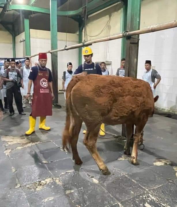 Puluhan Tukang Potong Dilatih Menyembelih Hewan secara Halal