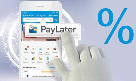 6 Paylater Resmi di Indonesia