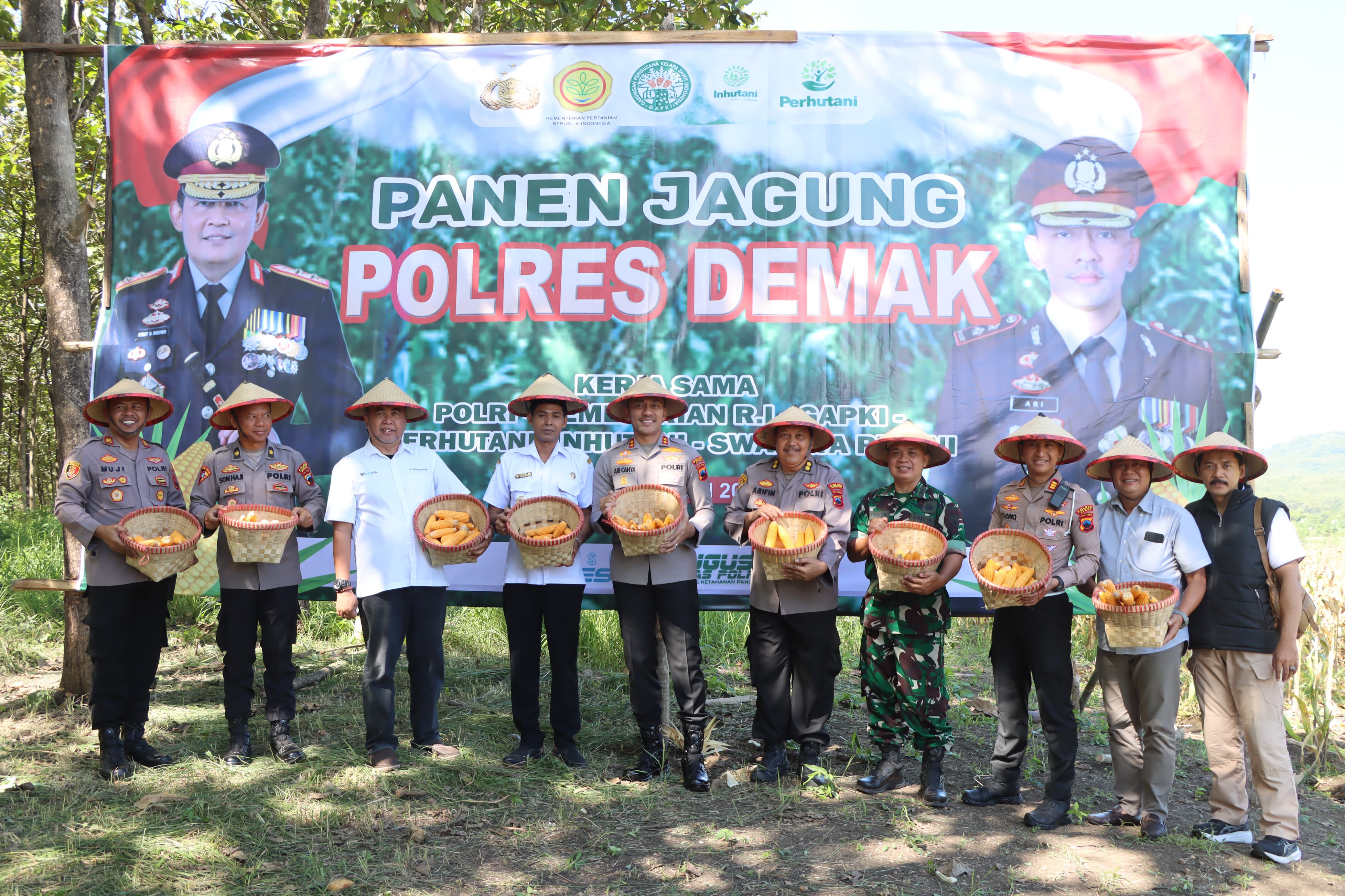 Sukseskan Ketahanan Pangan Nasional, Polres Demak Panen Jagung