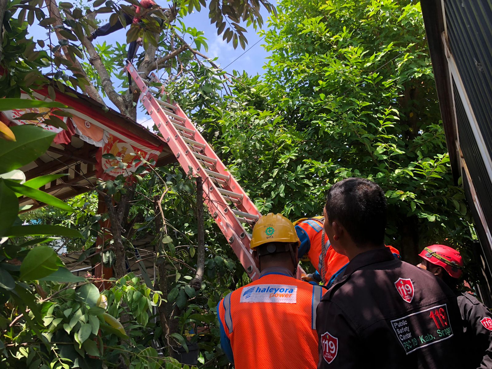 Nahas, Warga Sragen Meninggal Kesetrum saat Pangkas Pohon