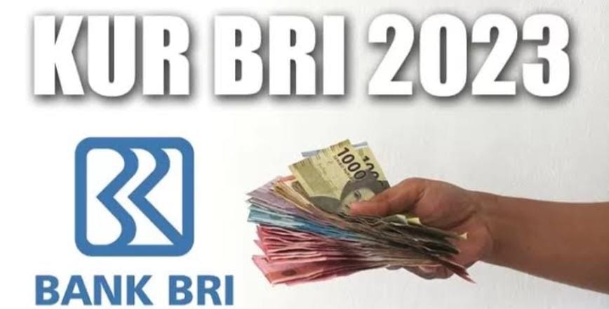 Perlu Diketahui! Inilah Jenis-Jenis KUR BRI, Beserta Syarat dan Ketentuan Pinjamannya