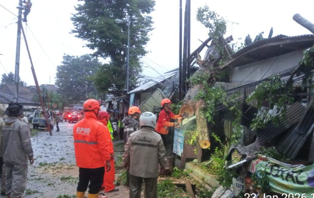 Angin Kencang Landa Salatiga, Pohon Tumbang di 6 Titik