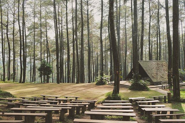 Liburan Akhir Tahun, Pastikan Orchid Forest Cikole Jadi Salah Satu Destinasi Tujuan 