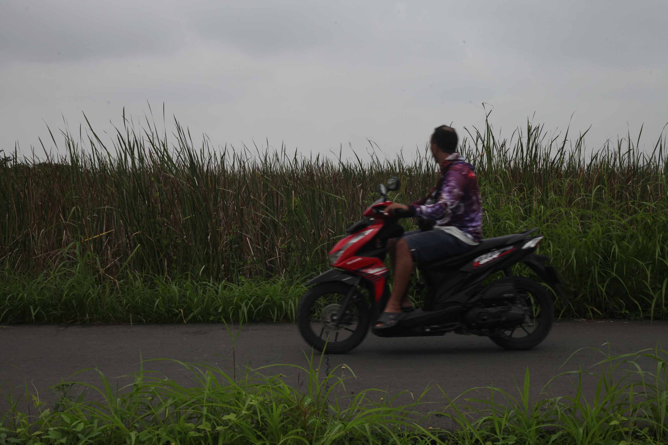19 Kelurahan Kota Tegal Terdampak Intrusi Air Laut, Total 1.570 Hektare