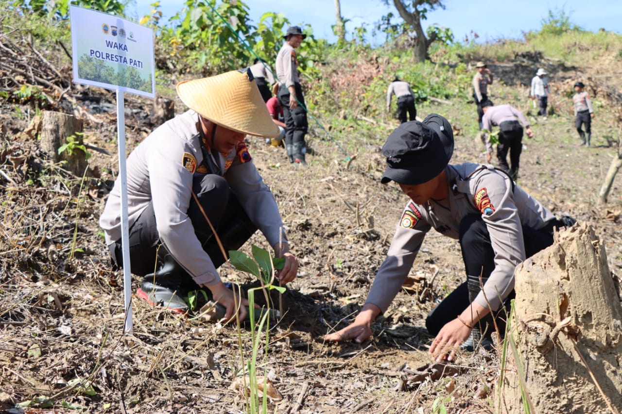 Hutan Gundul Guyangan Rawan Bencana, Polresta Pati Tanam Ribuan Bibit Pohon Jati 