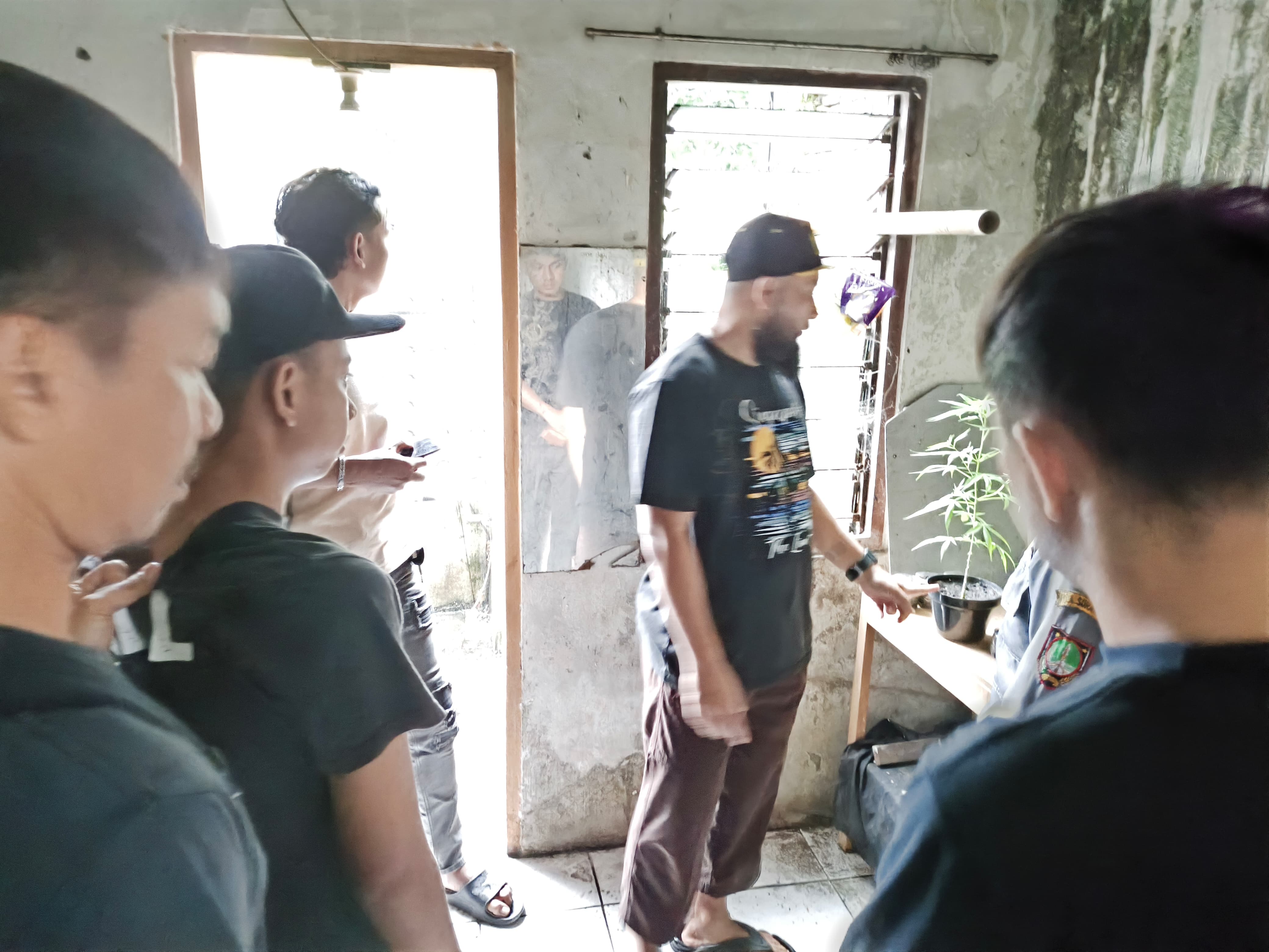 Rumah di Kerten Solo Dijadikan Tempat Tanam Ganja