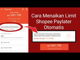 4 Cara Mudah Menaikkan Limit Shopee PayLater