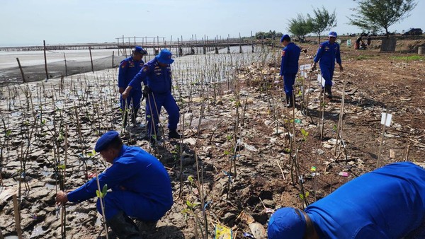 Abrasi Jadi Ancaman Serius Wilayah Pesisir Pantura Pati