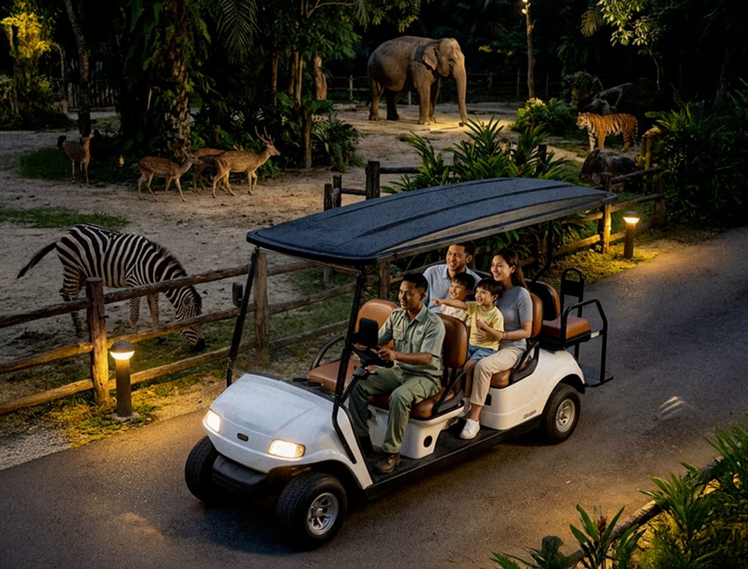 Uniknya Berwisata Lebaran Jelajahi Satwa di Malam Hari di Kota Solo