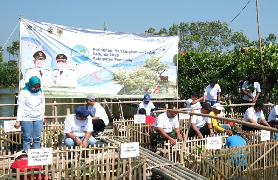 Hadapi Ancaman Abrasi, Pemkab Pemalang Tanam 3.000 Mangrove di Pesisir Ulujami