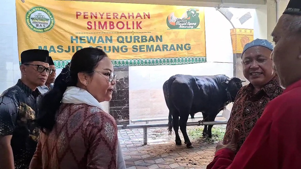 Pemkot Semarang Salurkan 13 Sapi Kurban, Sapi 920 Kilogram Diserahkan ke Masjid Baiturrahman