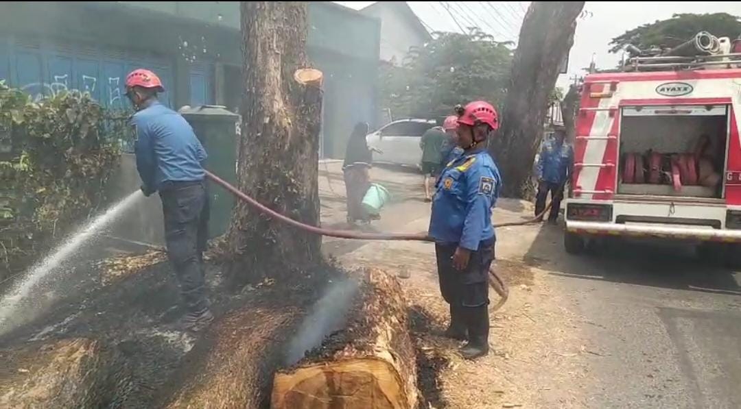 Trafo Listrik Nyaris Terbakar, Api Ancam Bangunan di Desa Harjosari Kabupaten Tegal