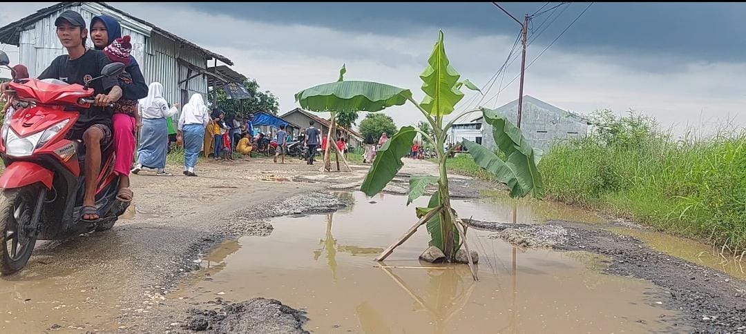 160 KM Jalan Kabupaten Tegal Rusak Berat, Tahun ini Dianggarkan Rp 118 M