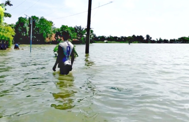 Petani Terdampak Banjir di Tegowanu Grobogan Rugi Miliaran, Begini Kata Dinas Terkait