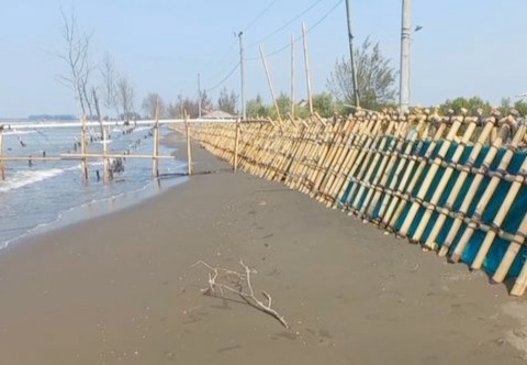 Rob, Warga Blendung Kabupaten Pemalang Buat Tanggul dari Bambu