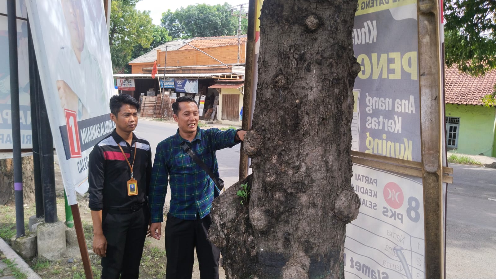 Marak Alat Peraga Kampanye Dipaku di Pohon, Begini Respon Bawaslu Kabupaten Tegal 