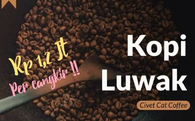 Jangan Kaget dengan Harganya! Ini Jenis Kopi Termahal Di Dunia, Per Cangkir Rp 1,2 Jt