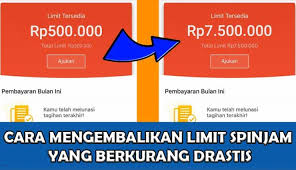 4 Cara Mengembalikan Limit Shopee Pinjam