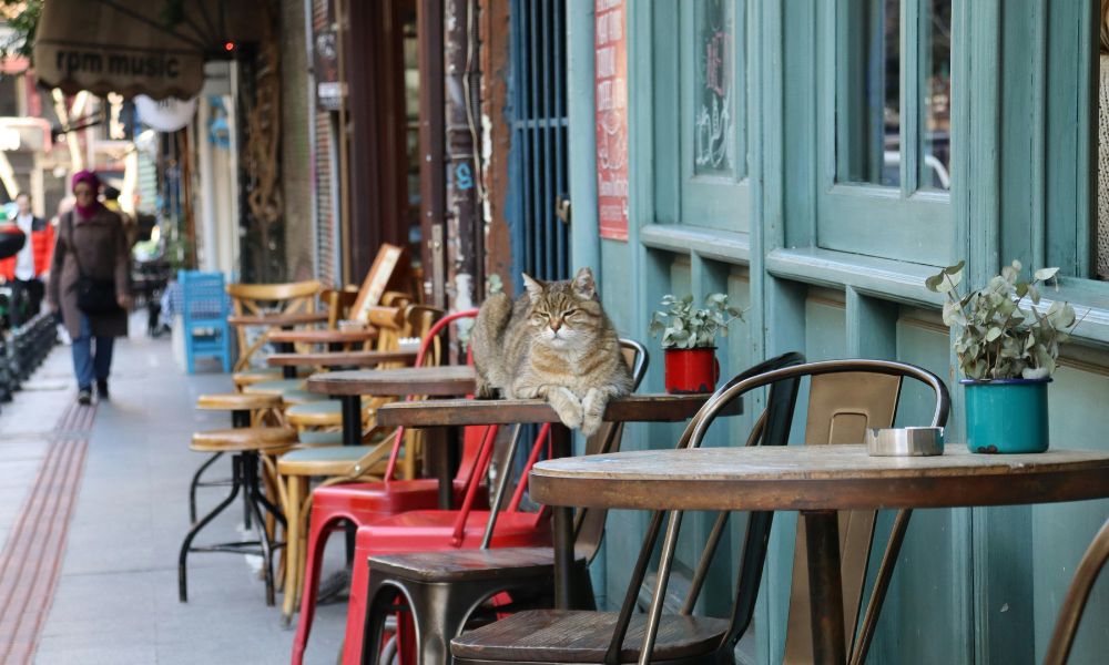 Daftar 6 Cafe Nuansa Vintage di Semarang: Cocok untuk Kaum Gen Z