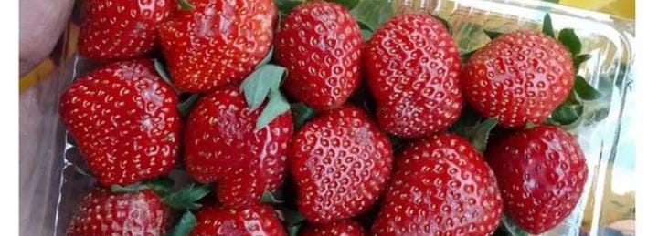 Ini Dia Kandungan Nutrisi dan 6 Khasiat Buah Strawberry