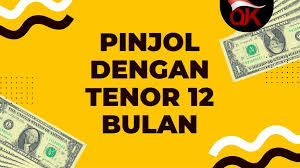 10 Aplikasi Pinjol Cicilan 12 Bulan Cepat Cair Terdaftar di OJK 