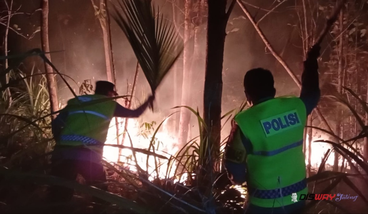 Lahan Warga di Kebumen Terbakar Tengah Malam, Api Meluas hingga 1.205 Meter Persegi