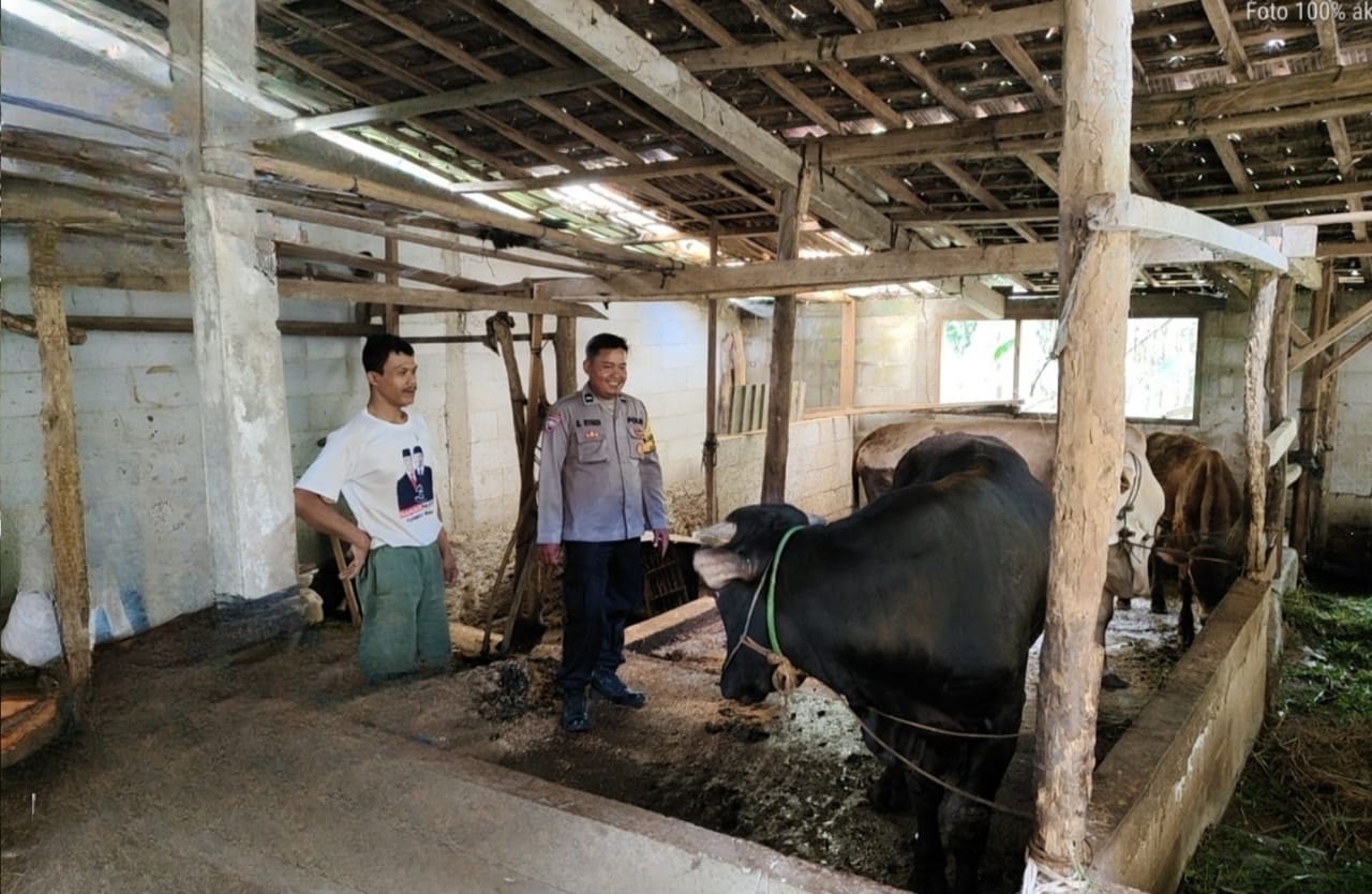 Tak Melulu Ngurusi Kamtibmas, Polisi Jepara Berperan Ganda Jadi ‘Mantri Hewan’