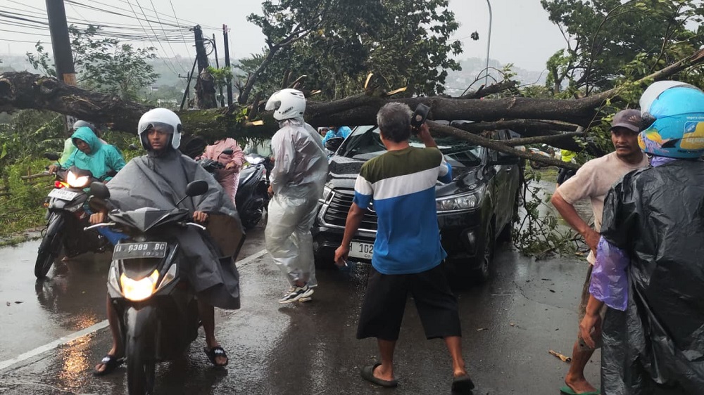 Hujan Disertai Angin Kencang Terjang Semarang, Lebih dari 80 Pohon Tumbang dan Reklame Roboh