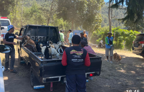 Kendalikan Hama Monyet Ekor Panjang di Boyolali, Anjing di Bukit Kinasih Divaksin 