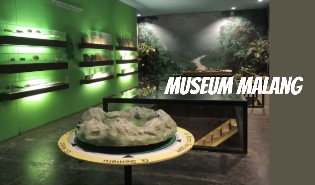 Ada yang Gratis! Berikut 4 Rekomendasi Museum Malang dengan Koleksi Sejarah hingga Kekinian