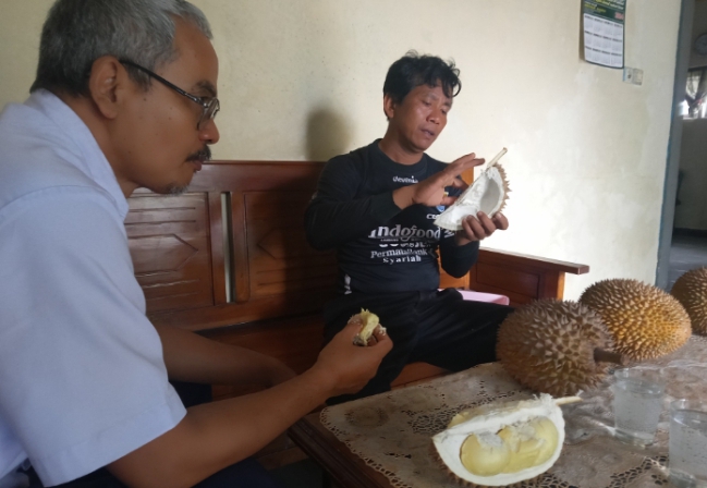 Durian Orange dan Petruk di Warungpring Kabupaten Pemalang Banyak Dicari Pelanggan