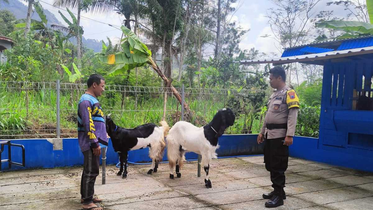 Sambangi Peternak, Bhabinkamtibmas Polres Wonosobo Beri Imbauan PMK