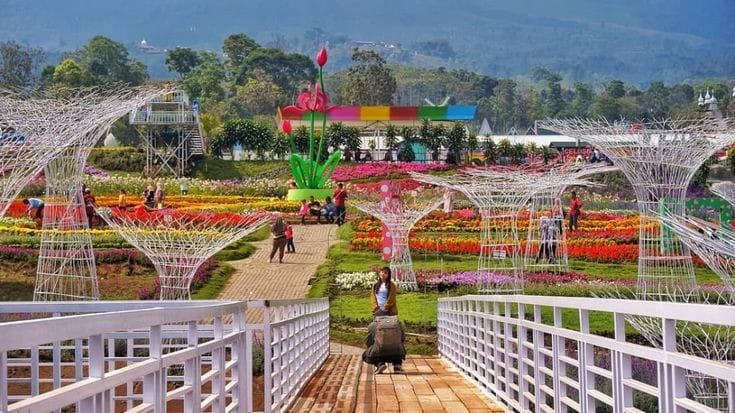 Taman Bunga Celosia Semarang: Keindahan Bunga, Spot Foto Instagramable, dan Wahana Seru!