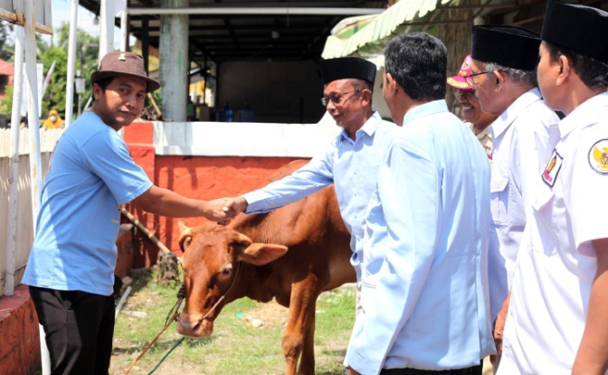 DPC Partai Gerindra Kota Tegal Terima Sapi Nazar Kemenangan Prabowo-Gibran