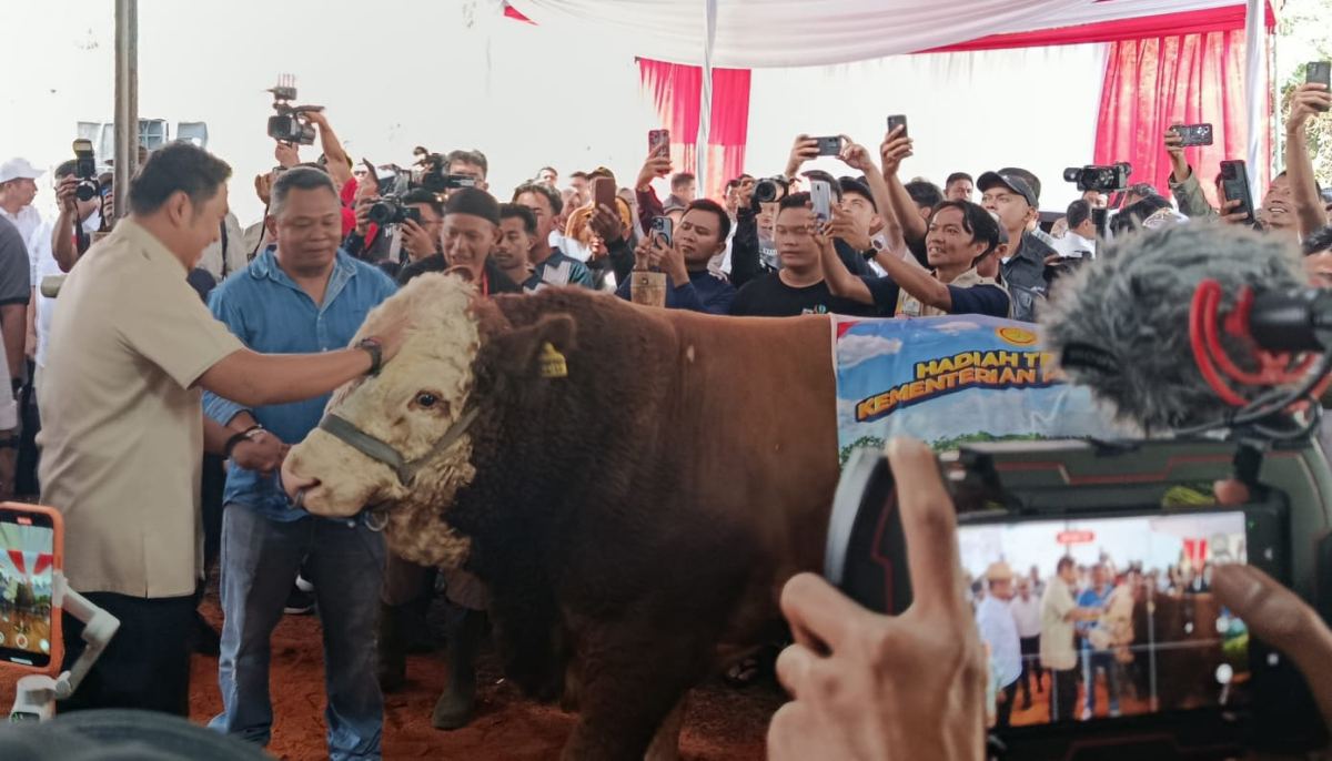 Hadiri Kontes APPSI Wonosobo, Wamentan Sudaryono : Jadi Pemicu Kemajuan Peternakan