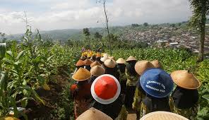 Wiwitan, Tradisi Petani Tembakau di Temanggung