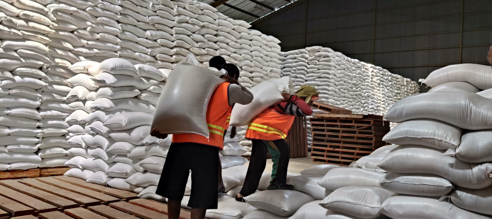 Stok Melimpah, Sragen Jadi Penyumbang Beras se Solo Raya di Gudang Bulog