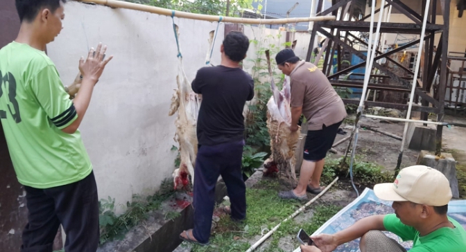 IPSM Kota Tegal Kurban 2 Ekor Kambing