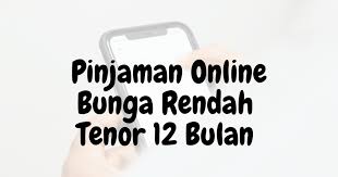 6 Pinjol Bunga Rendah Cicilan 12 Bulan Resmi OJK Terbaru 2024, Proses Cepat dan Langsung Cair 