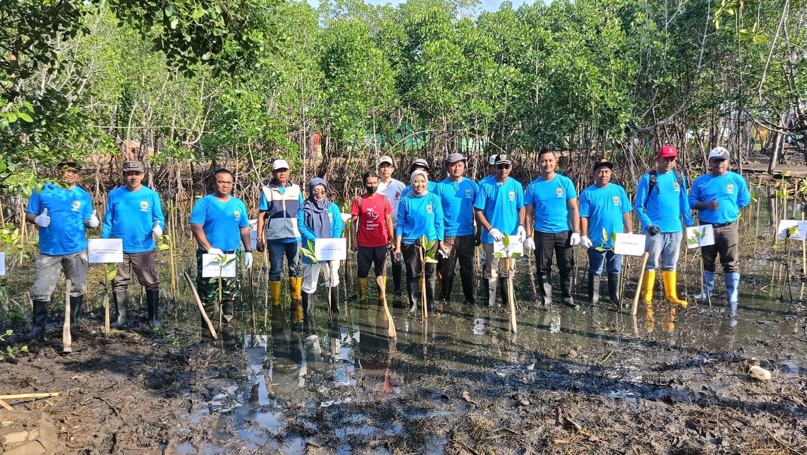 Pesisir Batang Terkikis Abrasi 200 meter, 117 Ribu Mangrove Disiapkan Jadi Tameng Alam
